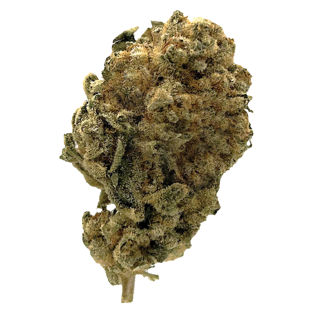 White Widow